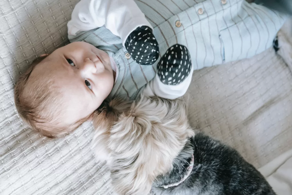 baby and dog