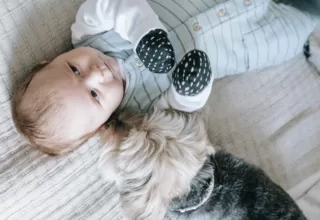 baby and dog