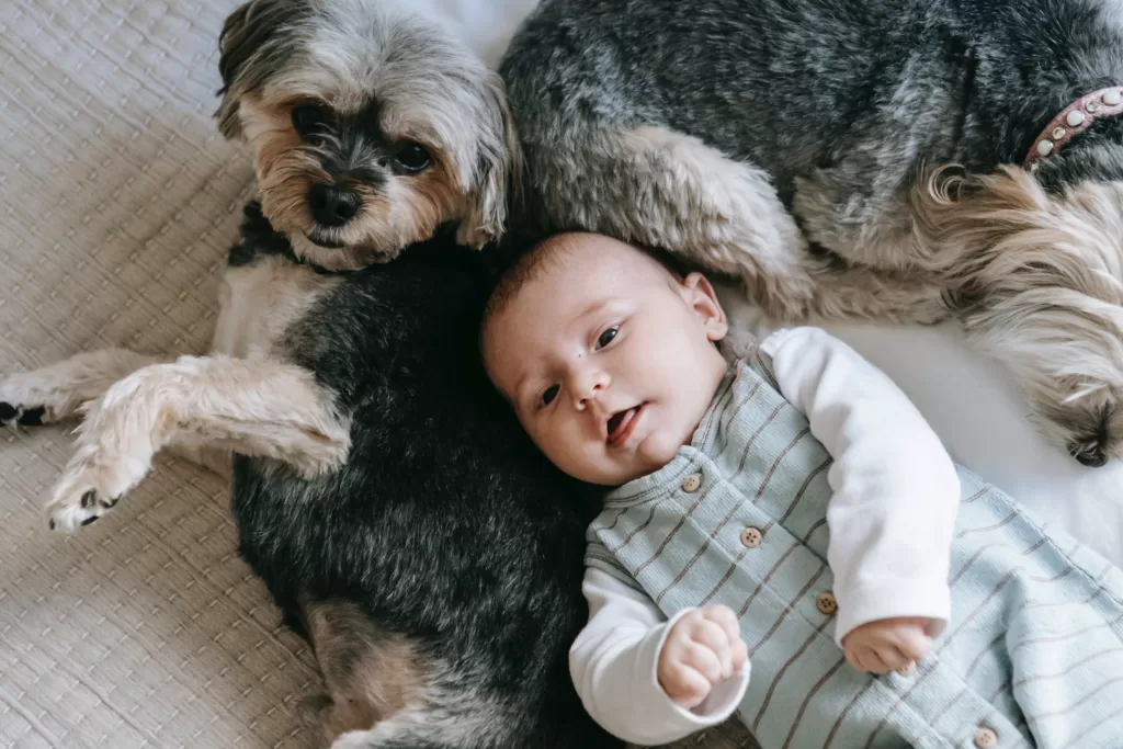 babies & Pets